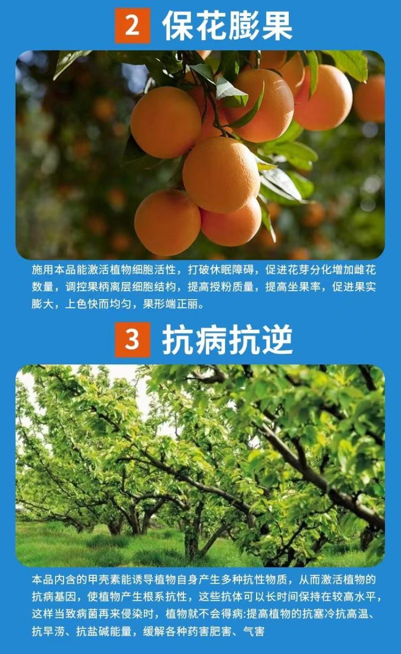 海藻鱼蛋白冲施肥保花保果生根壮秧改良土壤