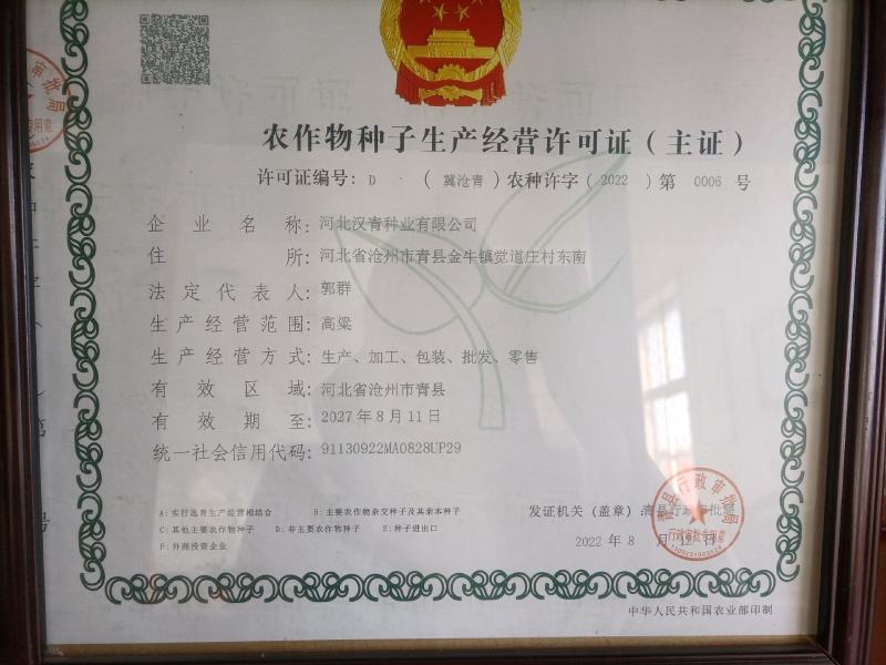 抗性好、产量高的夏播高粱品种：抗四杂交种