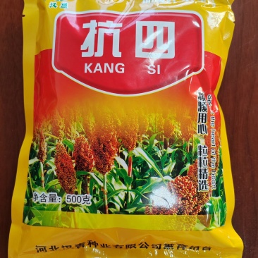 抗性好、产量高的夏播高粱品种：抗四杂交种