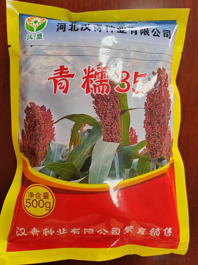 河北汉青种业厂家直销杂交高产品种：青糯35号