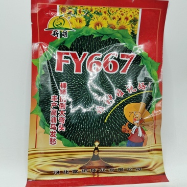 （推荐）油用向日葵种子FY667棵矮大头出油多
