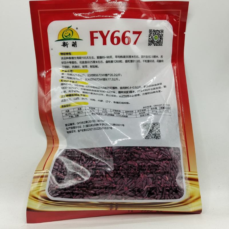 （推荐）油用向日葵种子FY667棵矮大头出油多