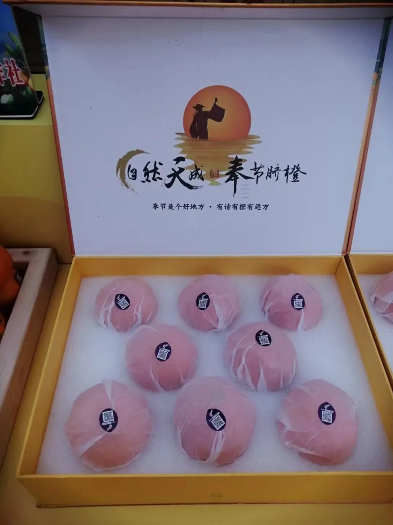 奉节脐橙（纽荷尔）电商果、二级果，产地直发现采现发
