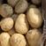 希森土豆，洋芋云南基地发货大量现货上市中，欢迎订购