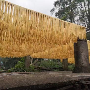 付竹