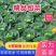 陕西莲花白、包菜圆包菜扁包菜甘蓝代发全国