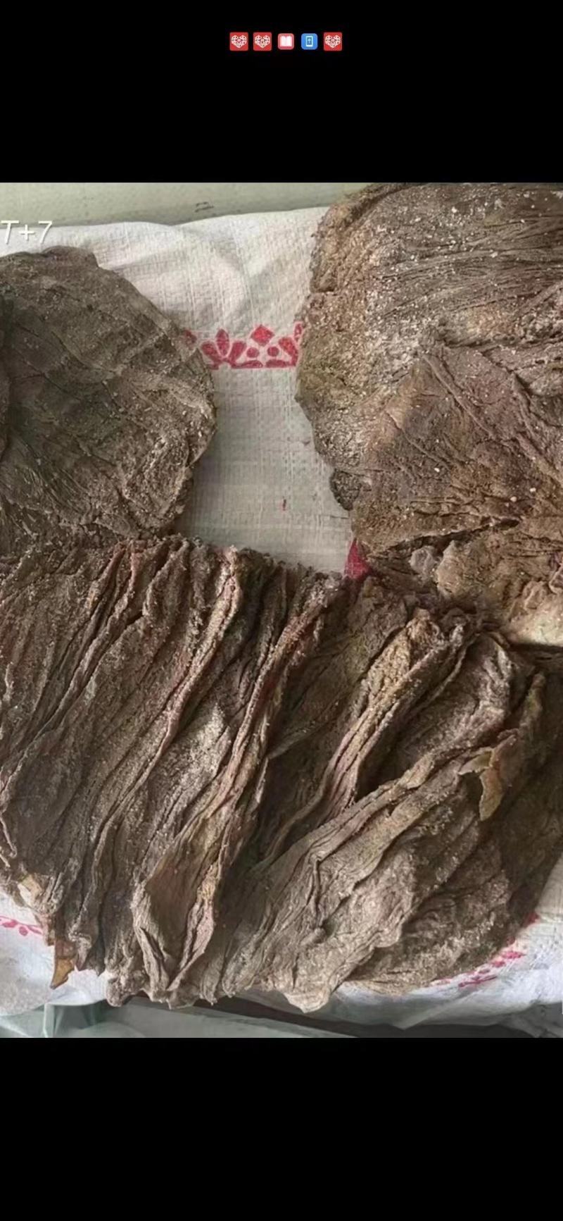 牛百叶