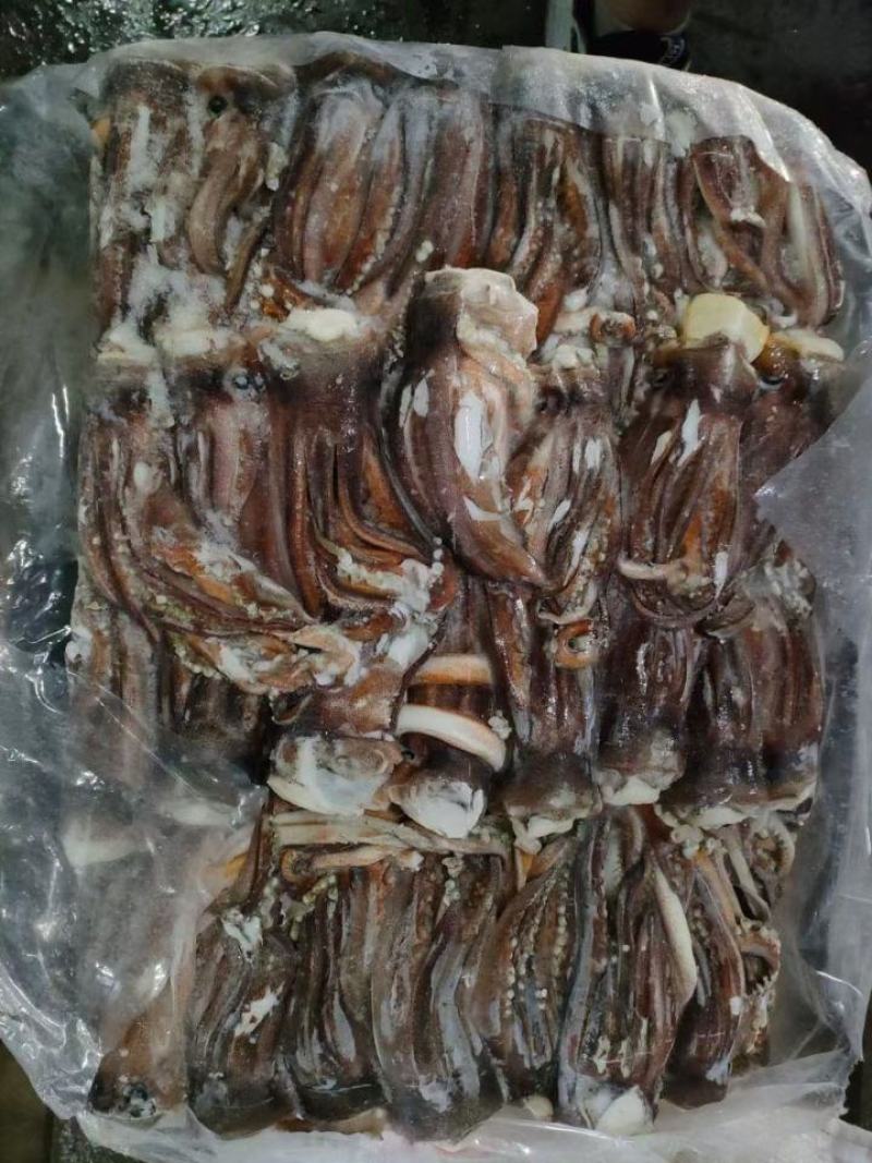 脆口鱿鱼头干冻不泡水阿鱿头餐饮常用鱿鱼须食材批发