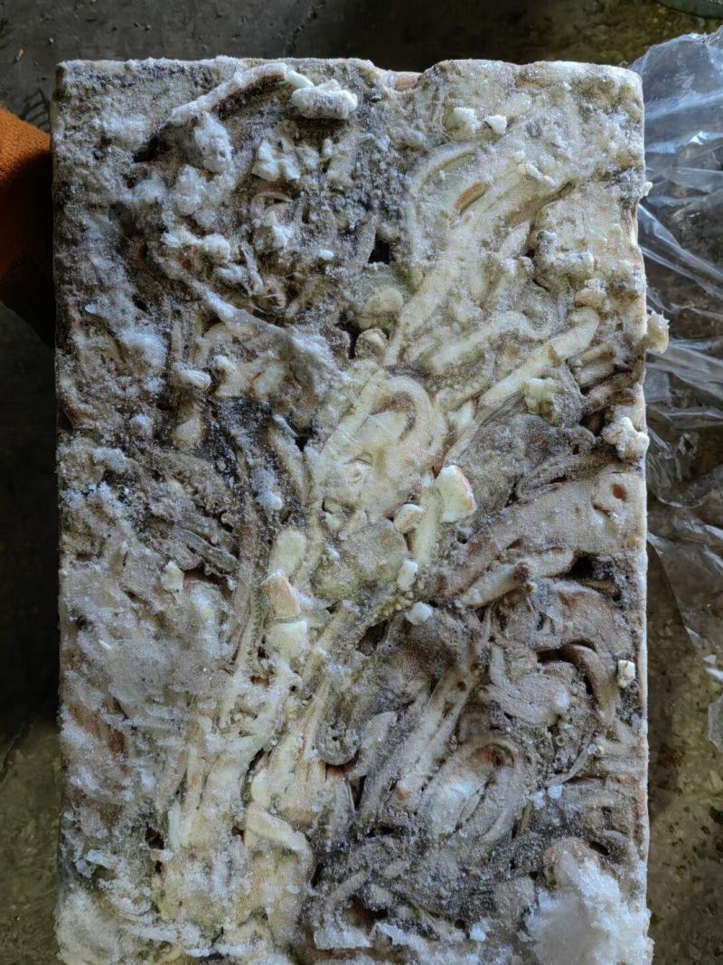 脆口鱿鱼头干冻不泡水阿鱿头餐饮常用鱿鱼须食材批发