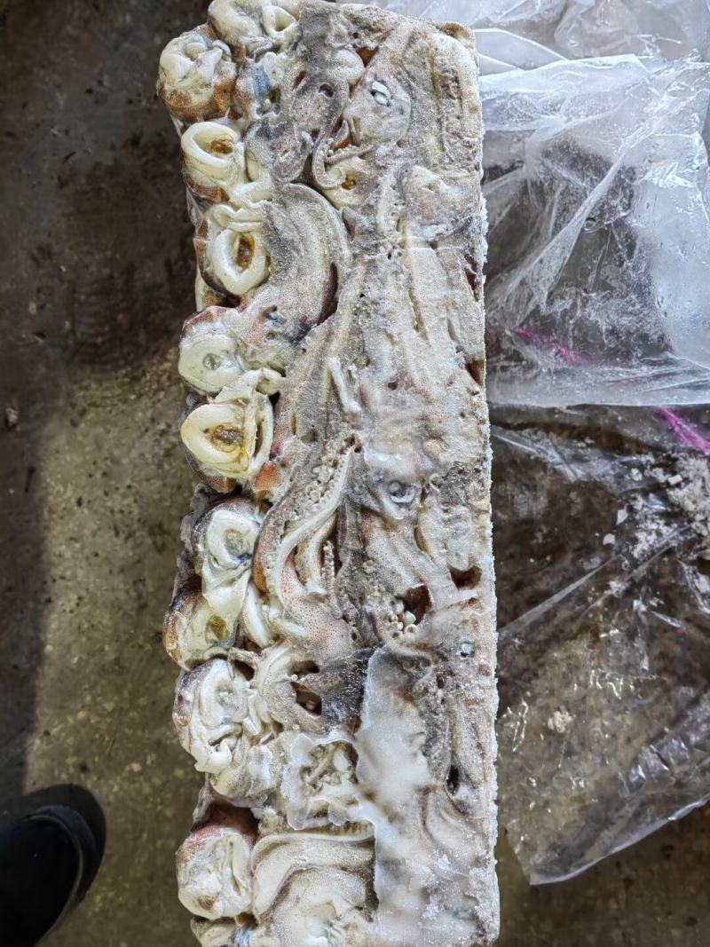 脆口鱿鱼头干冻不泡水阿鱿头餐饮常用鱿鱼须食材批发