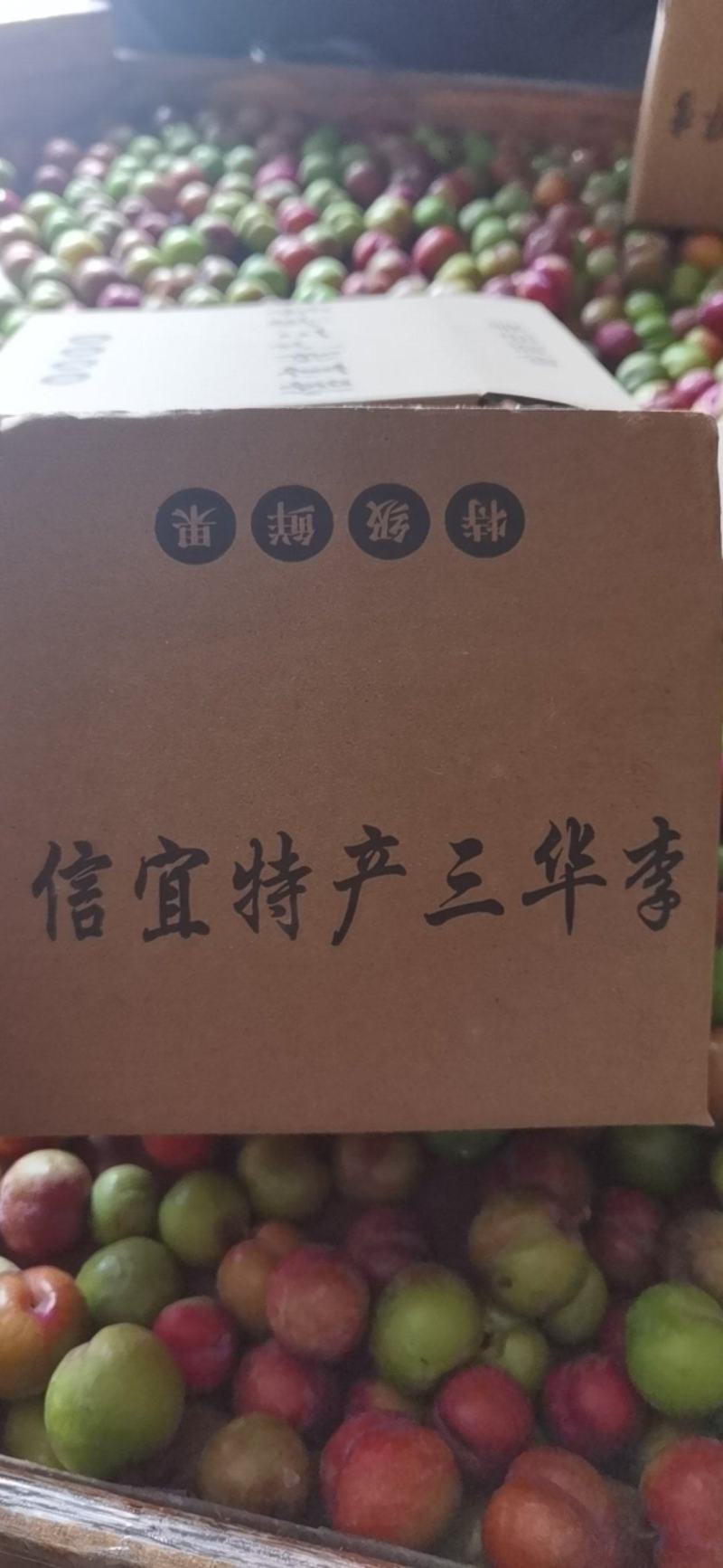茂名钱排早熟红心三华李支持批发电商一件代发