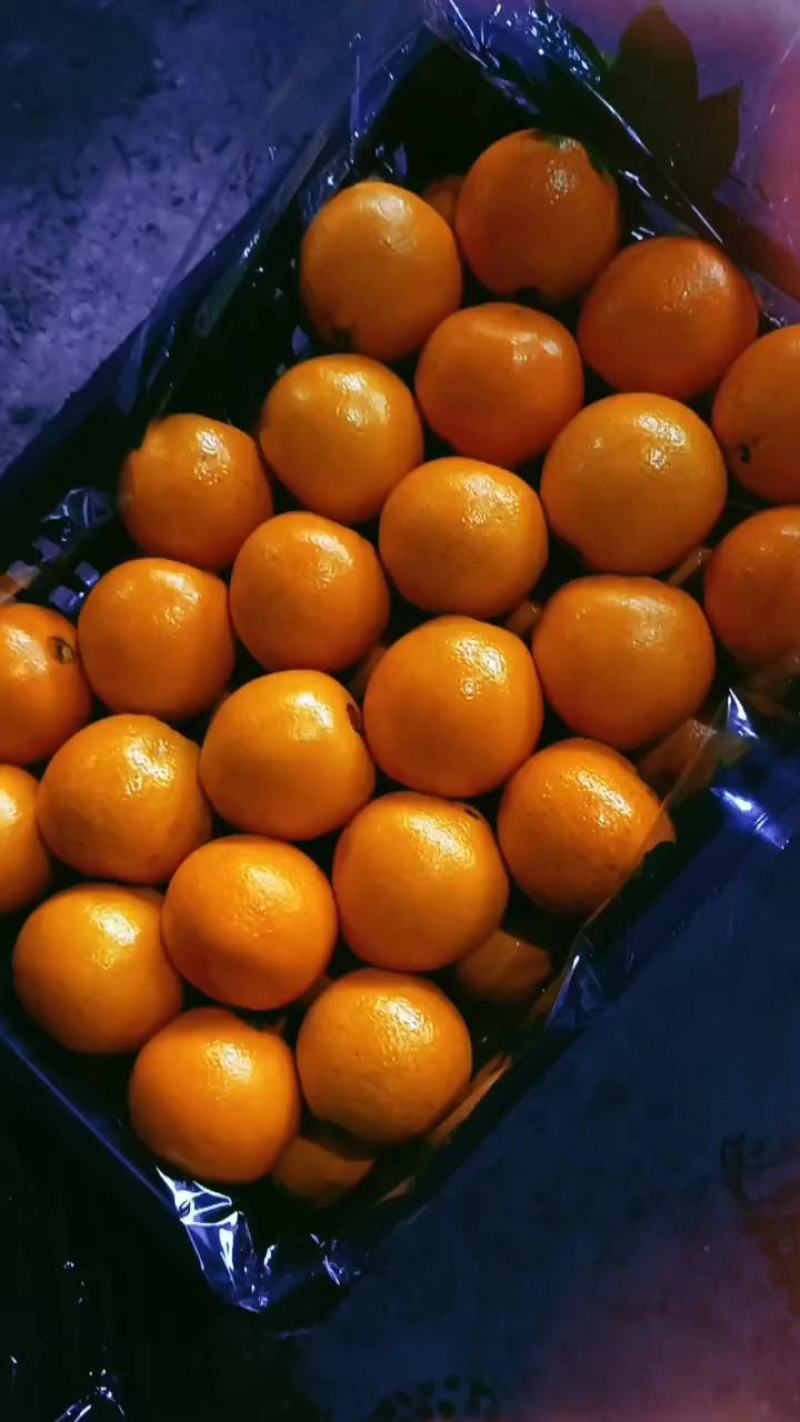 精品脐橙大量上市供应中，需要发财找祝哥