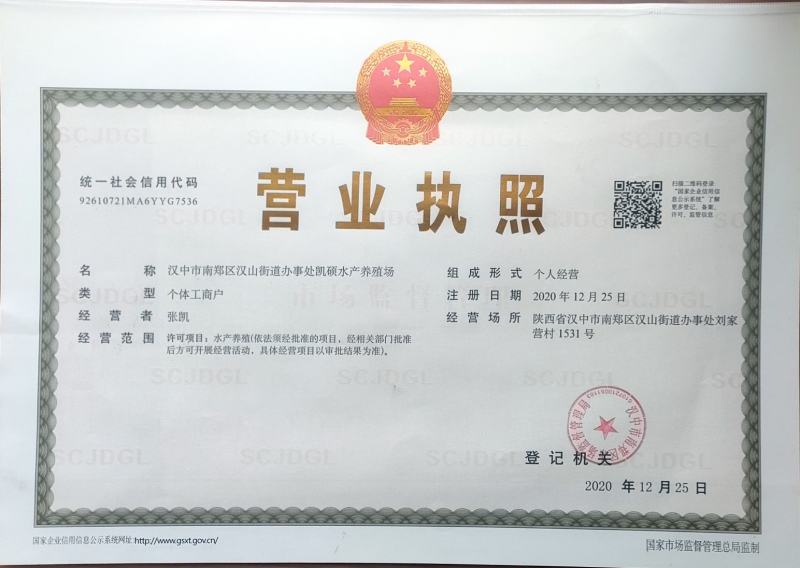 娃娃鱼活体包邮，大小规格齐全，自养自销，价格实惠