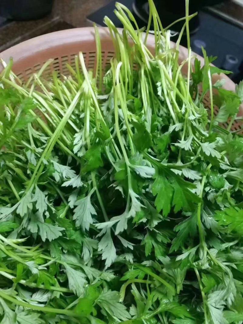 灰水粑粑艾草糍粑笋干肉馅电商，微商一件代发，1盒1.5斤