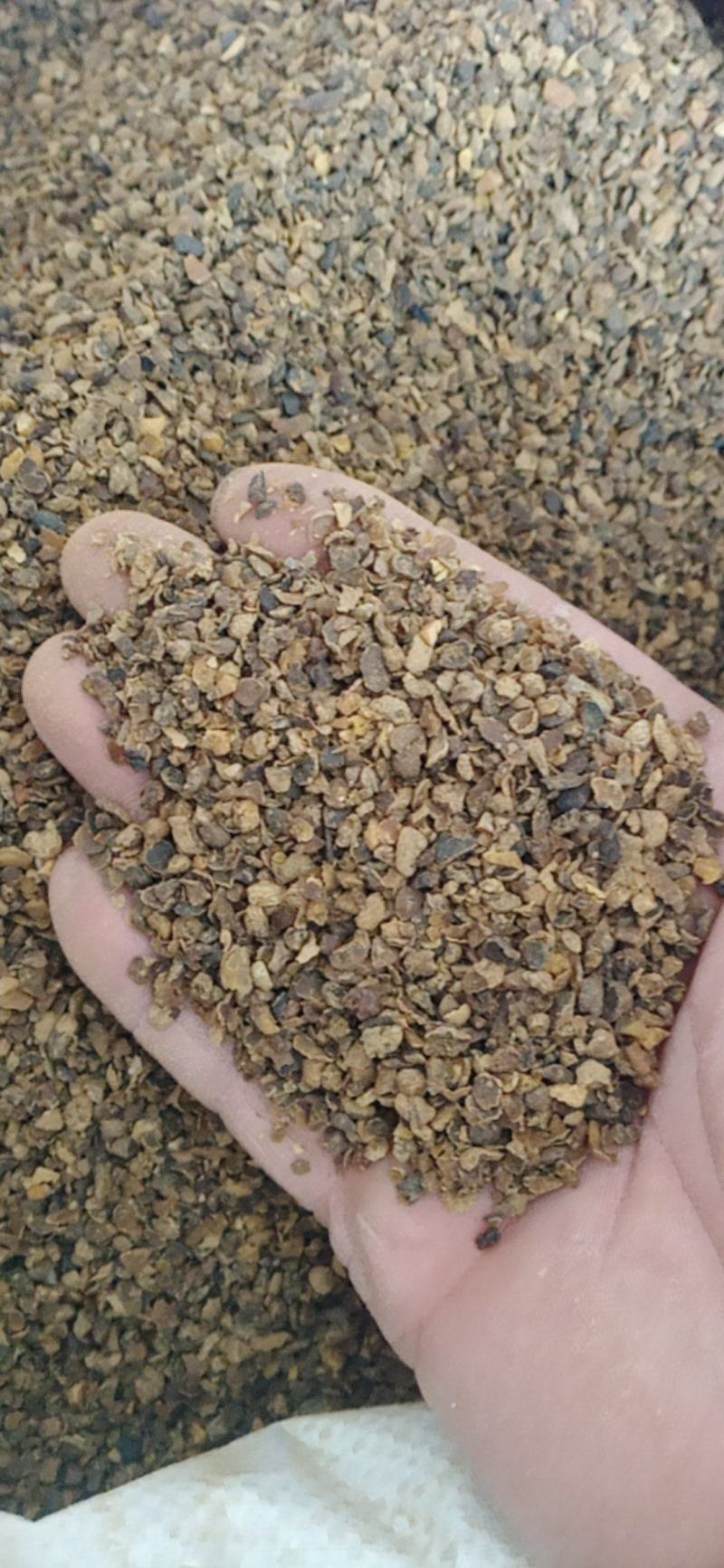 元胡个子片子颗粒.中药材批发.质量保证规格齐全.
