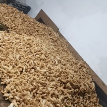油炸黄鱼胶