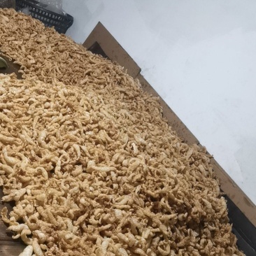 油炸黄鱼胶