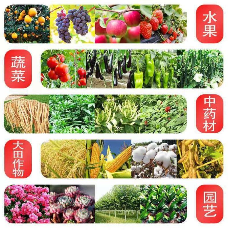 奥丰钙镁硼锌铁冲施肥五元素同补果树蔬菜花卉中药材通用肥料