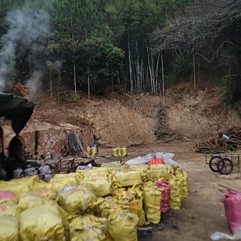 广西炭厂常年大量供应荔枝木炭