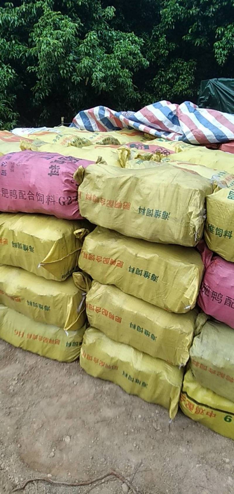 广西炭厂常年大量供应荔枝木炭