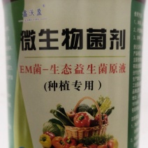 （直发）EM菌种植原液防根腐促生根抑病菌提高肥料吸收率