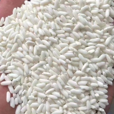 进口糯米越南糯米批发越南大糯
