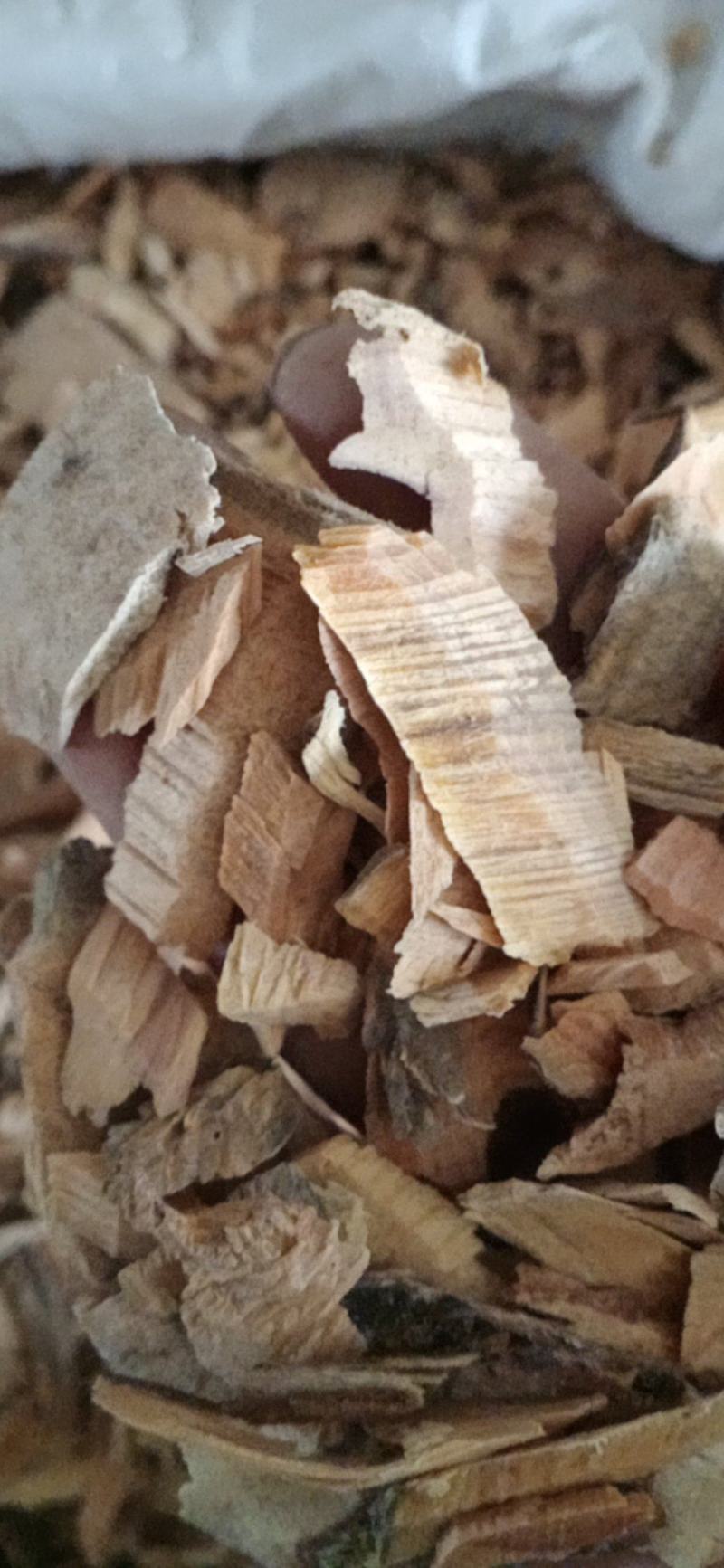 【松节】油松节，松树节云南产区量大优惠质量保证。