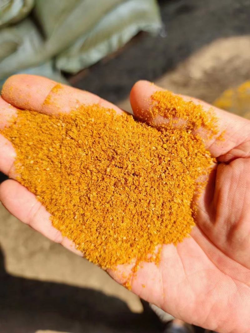厂家直销玉米酒糟适口性好猪牛羊饲料DDGS