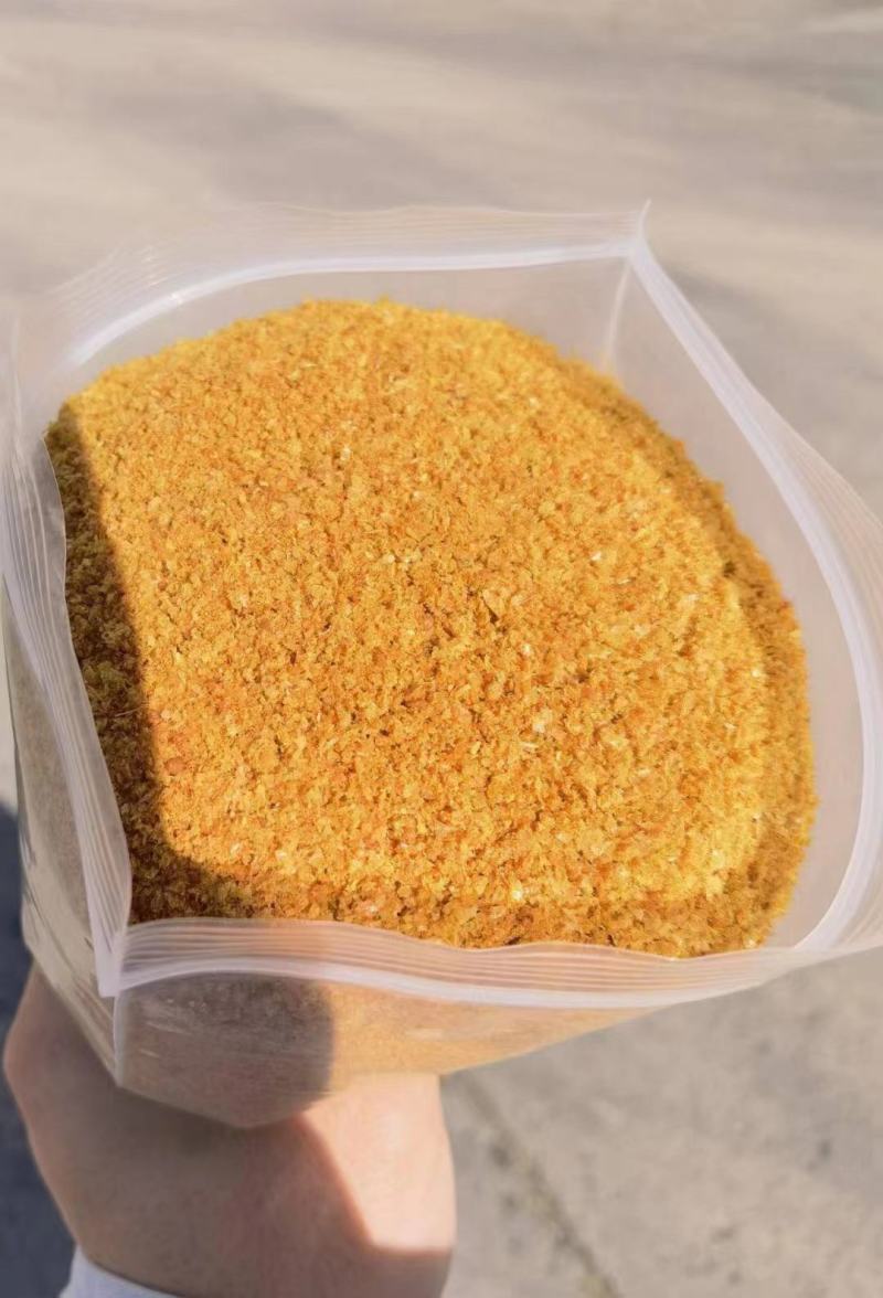 厂家直销玉米酒糟适口性好猪牛羊饲料DDGS