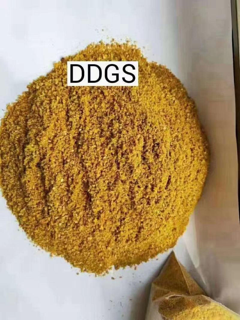 厂家直销玉米酒糟适口性好猪牛羊饲料DDGS