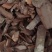 【地枫皮】钻地枫，产地货源量大优惠海涛药业。