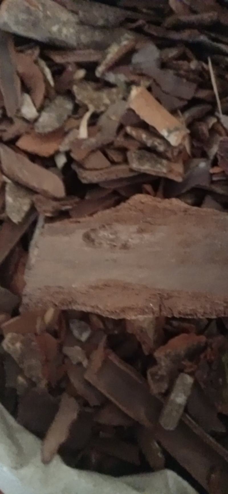 【地枫皮】钻地枫，产地货源量大优惠海涛药业。