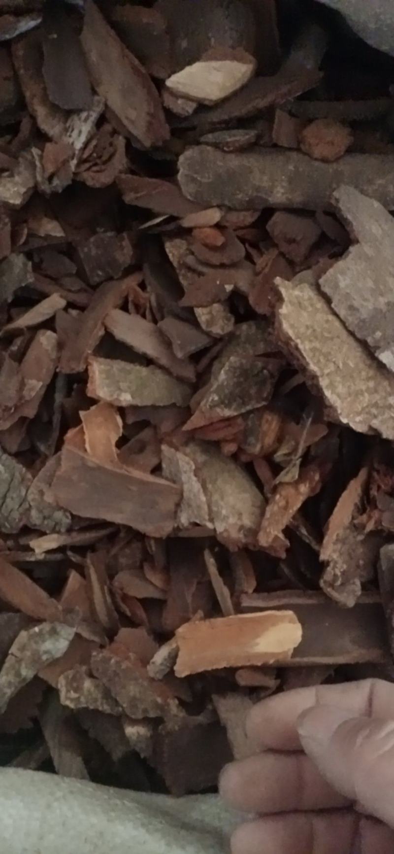 【地枫皮】钻地枫，产地货源量大优惠海涛药业。