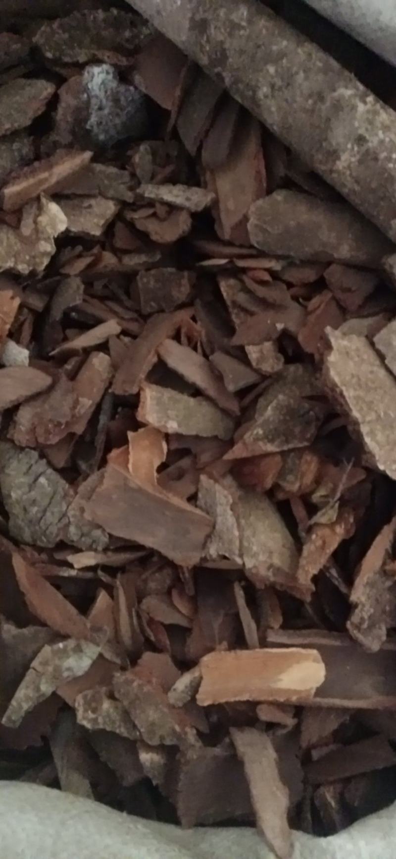 【地枫皮】钻地枫，产地货源量大优惠海涛药业。