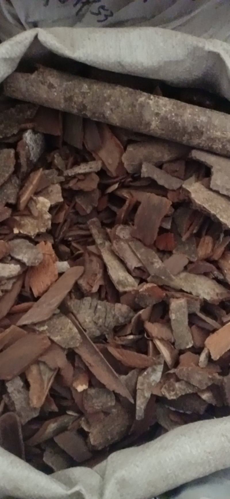 【地枫皮】钻地枫，产地货源量大优惠海涛药业。