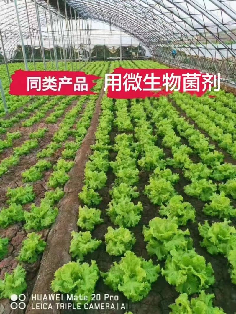 （直发）EM菌种植原液防根腐促生根抑病菌提高肥料吸收率