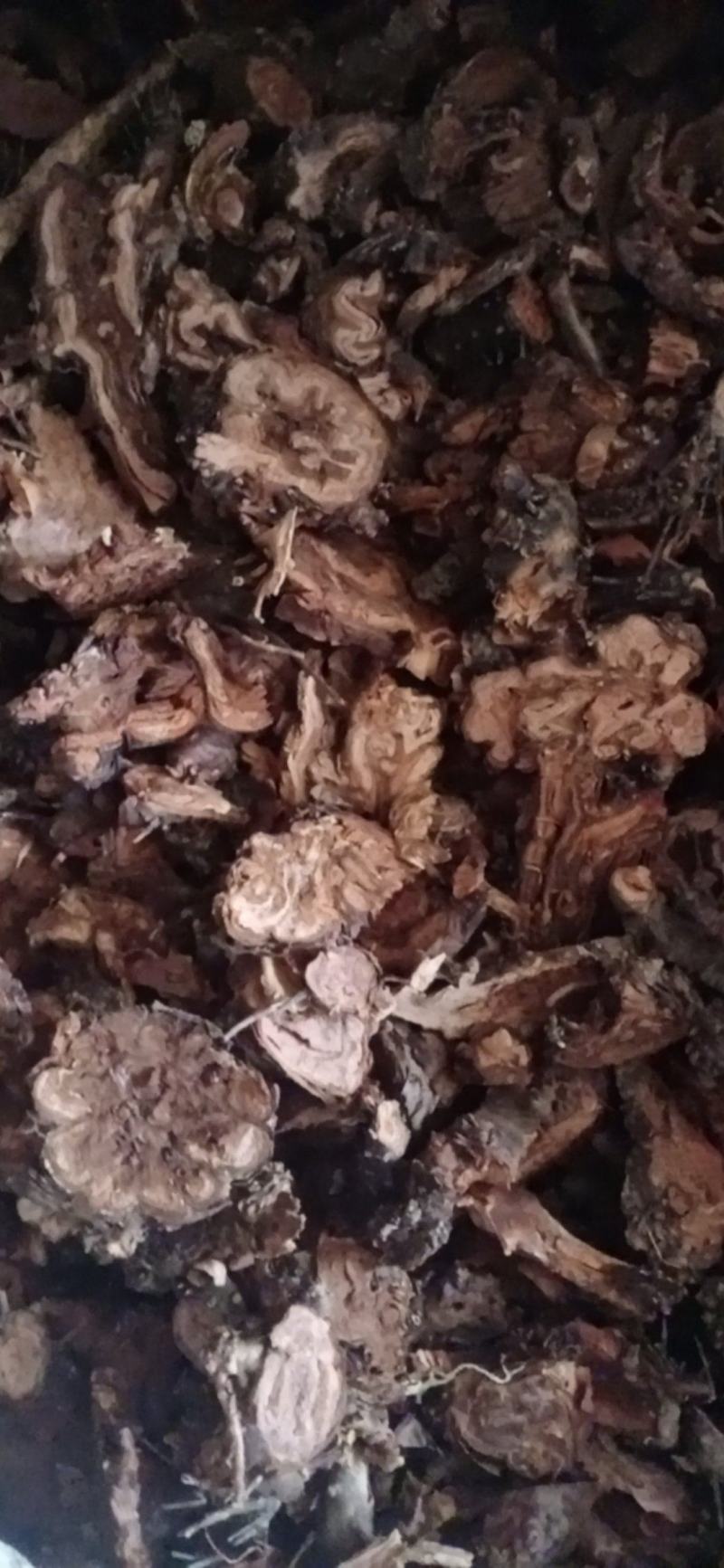 【红景天】西藏产区优质货源，规格齐全量大优惠质量保证。