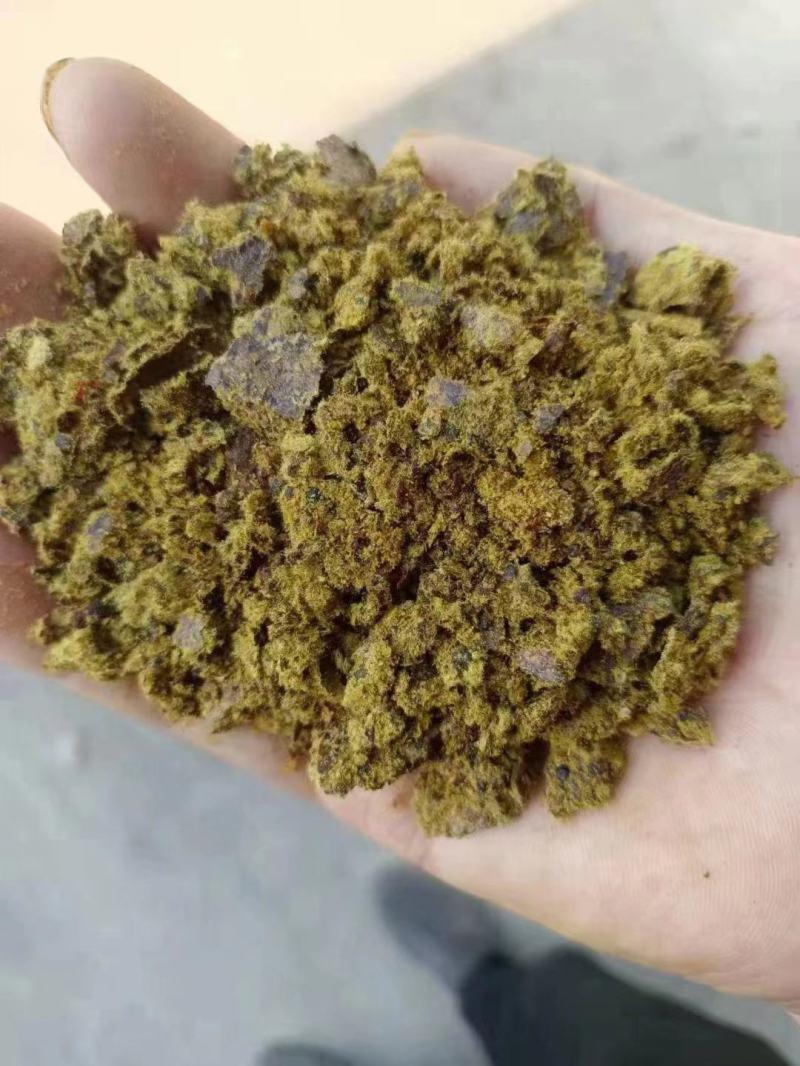 大量供应棉饼高脂肪蛋白牛羊饲料棉饼