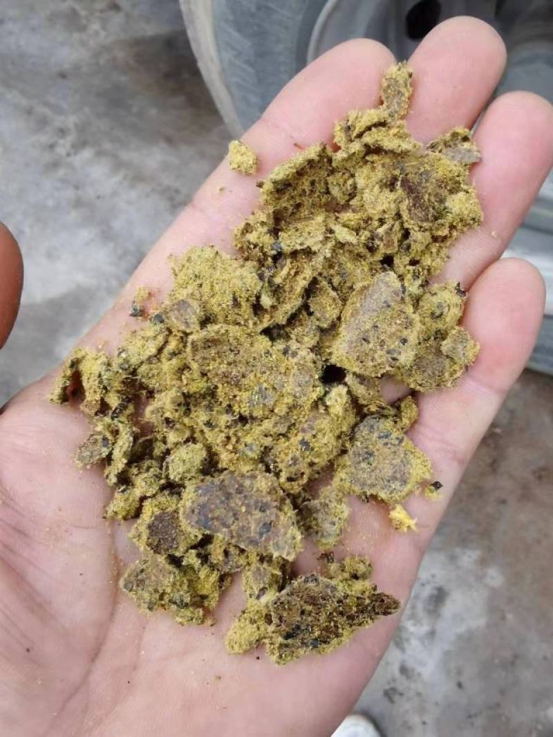 大量供应棉饼高脂肪蛋白牛羊饲料棉饼