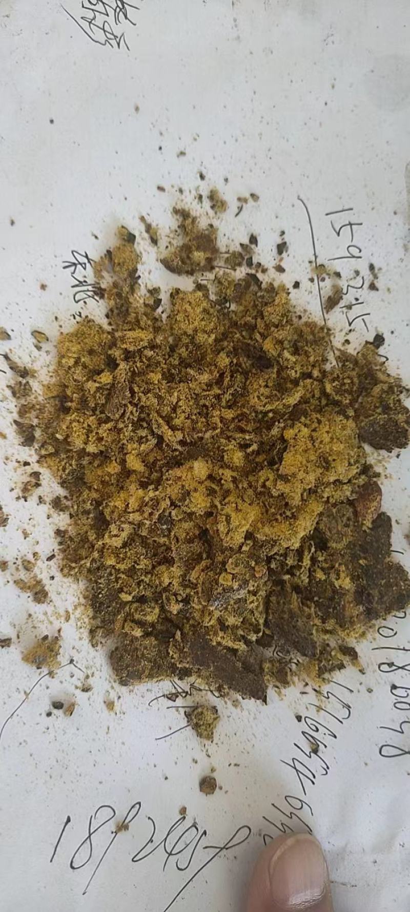 大量供应棉饼高脂肪蛋白牛羊饲料棉饼