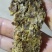 大量供应棉饼高脂肪蛋白牛羊饲料棉饼