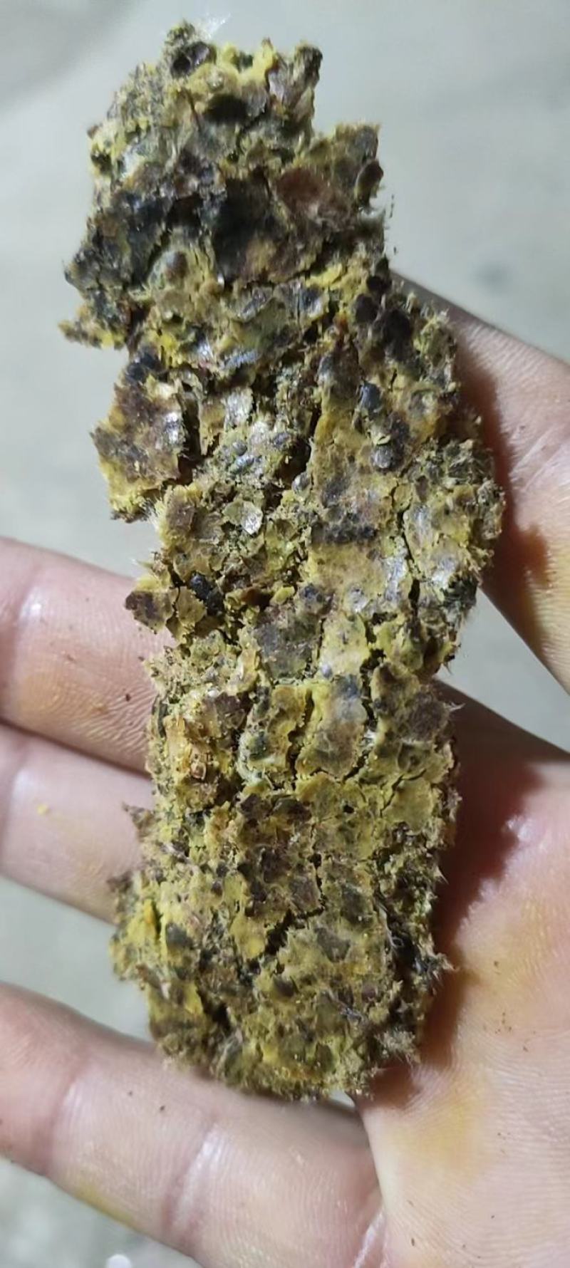 大量供应棉饼高脂肪蛋白牛羊饲料棉饼