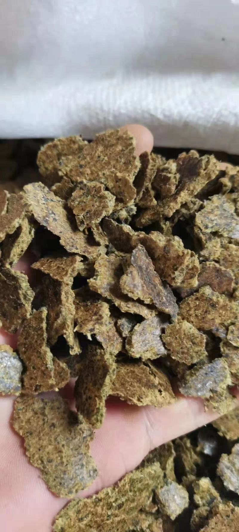 大量供应棉饼高脂肪蛋白牛羊饲料棉饼