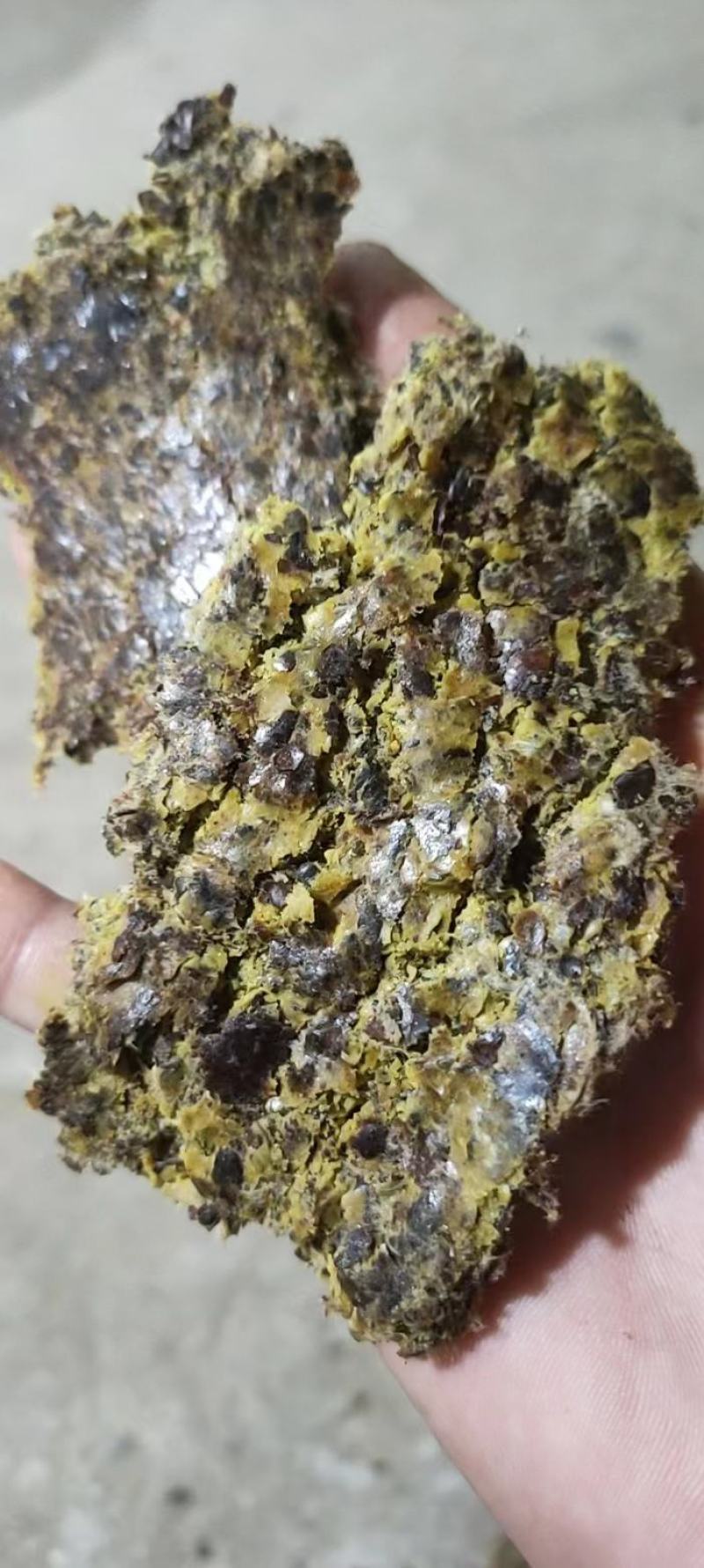 大量供应棉饼高脂肪蛋白牛羊饲料棉饼