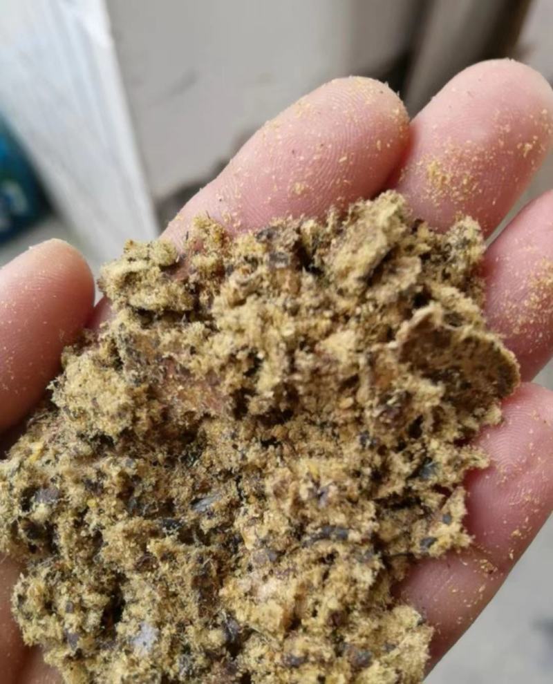 大量供应棉饼高脂肪蛋白牛羊饲料棉饼