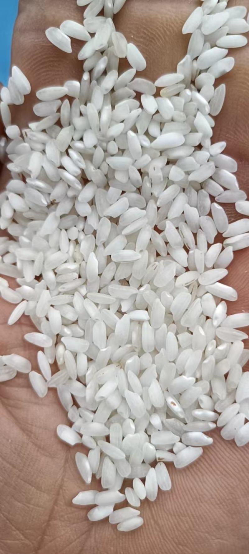 缅甸桂朝白米粉米批发