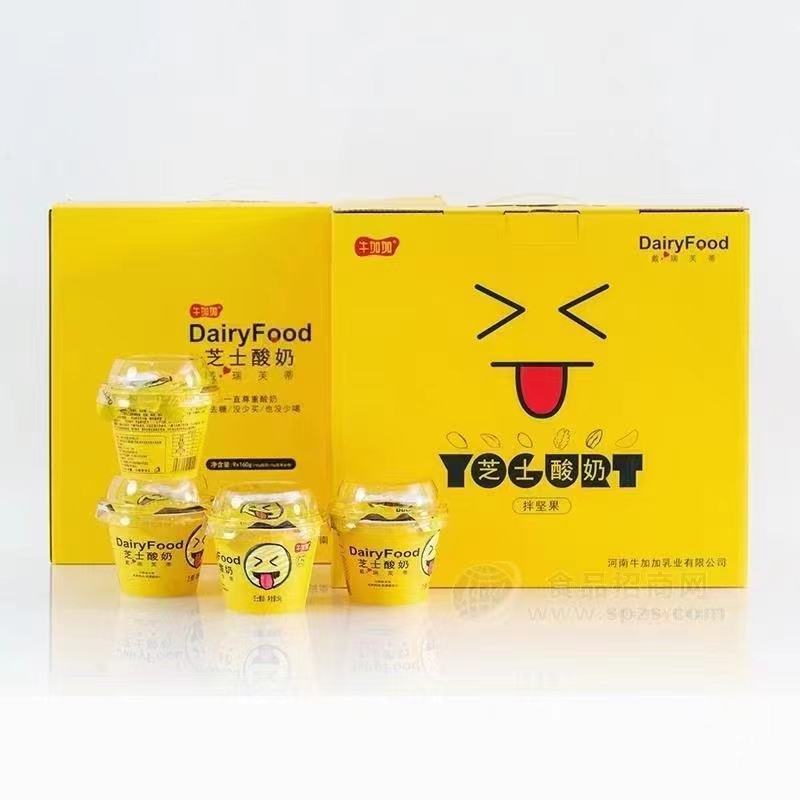 牛加加搅拌酸奶产品批发全国