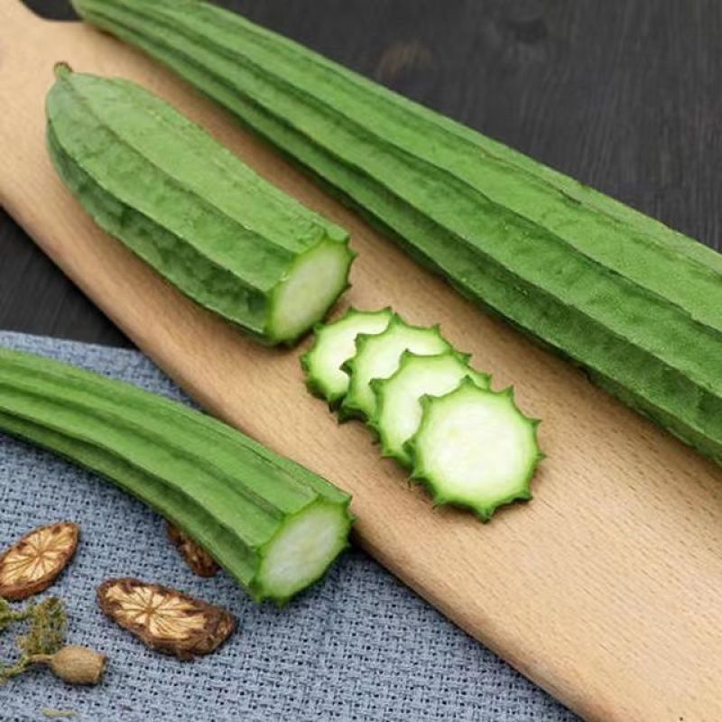 鲜花丝瓜苗嫁接苗直播苗免费技术指导包回收棱角丝瓜苗