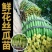 鲜花丝瓜苗嫁接苗直播苗免费技术指导包回收棱角丝瓜苗