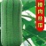 肉丝瓜苗包回收短棒肉丝瓜苗肉丝瓜种苗免费技术指导